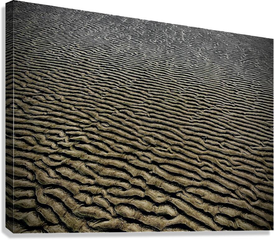 Changing Sands Canvas Print