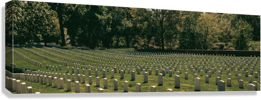 Gravestone  Canvas Print