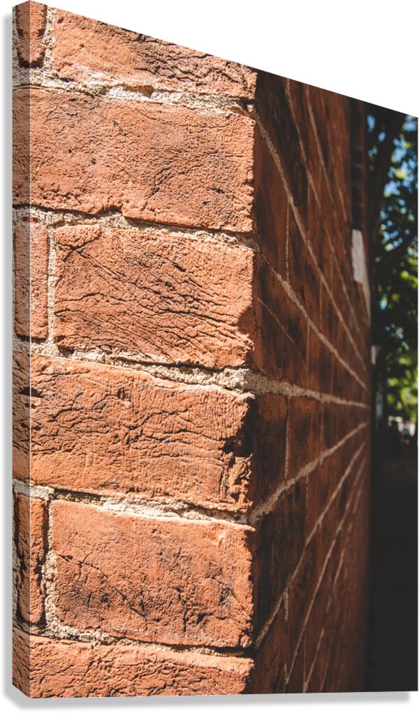 Brick wall Canvas Print