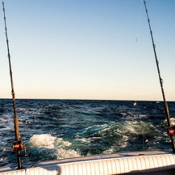 Fishing in the Gulf