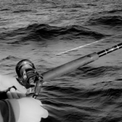 Fishing for Snapper