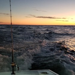 Gulf Fishing