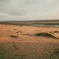 Low tide 