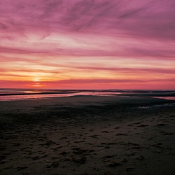 Sailors Delight
