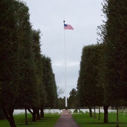 Flag in the Park