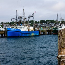 Fishing boats
