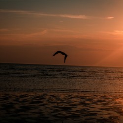 Sunset at Cape Cod Bay