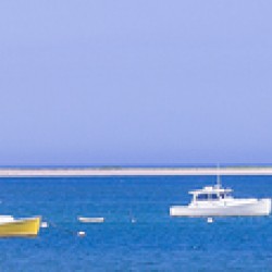 Ships at Anchor 
