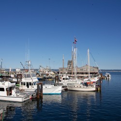 Fishing Boats at the dock