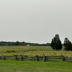 Rustic Fence