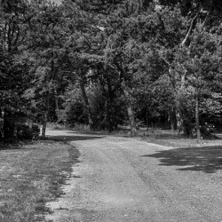 Old dirt path
