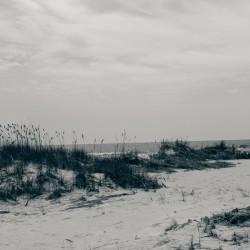 Wind Worn Beach