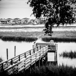 Fishing Pier 