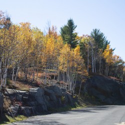 Upstate New York