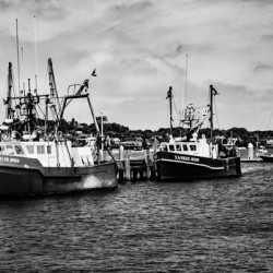 Fishing boats