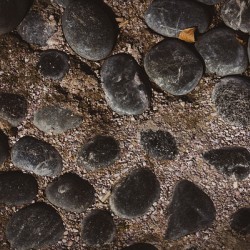 Rocks