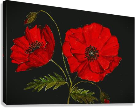Les coquelicots Canvas Print