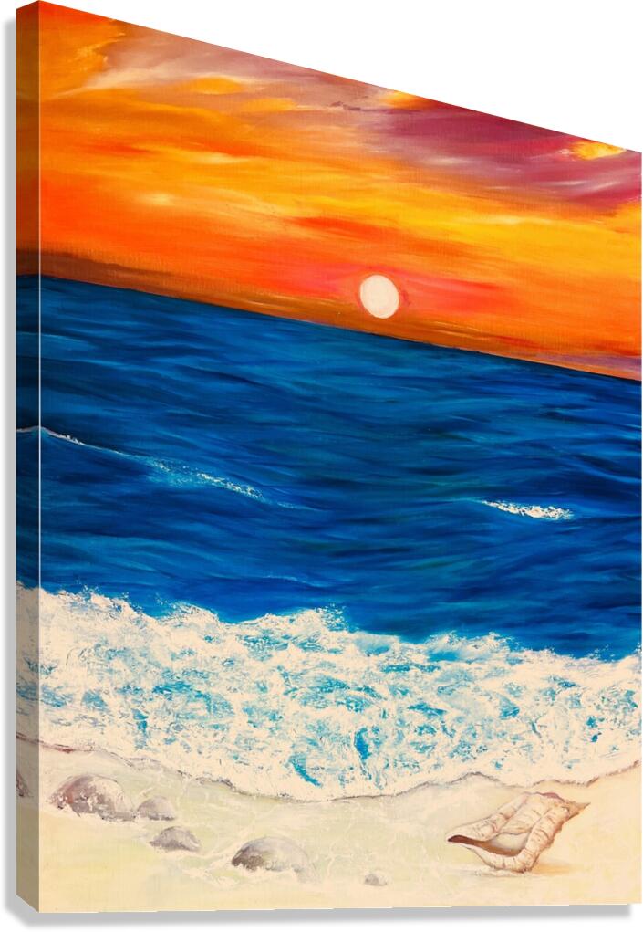 Coquillage Canvas Print