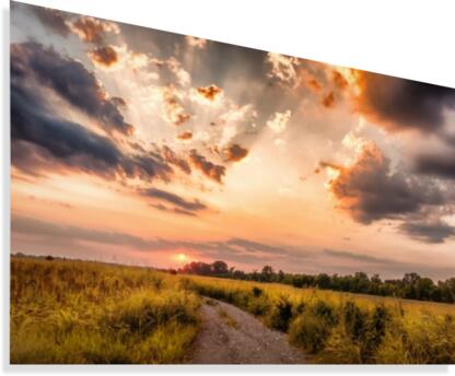 angel Canvas Print