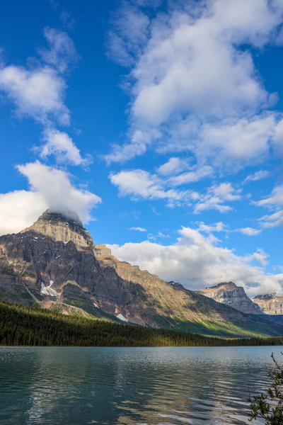 Crisp by Seth Felstead