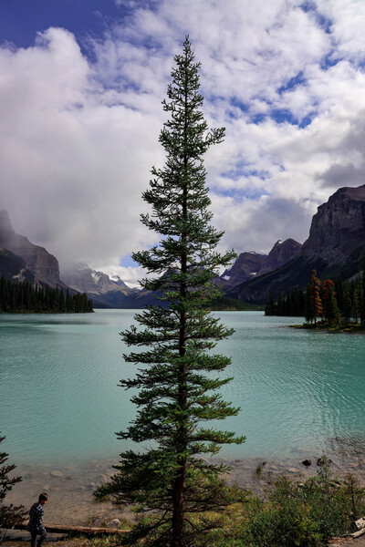 Wonderland by Seth Felstead