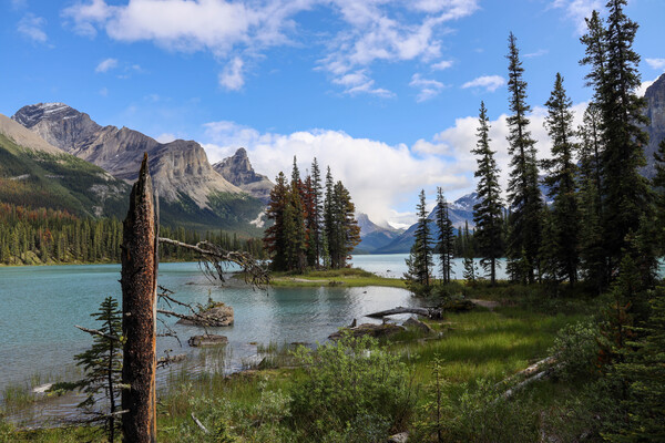 Spirit Island by Seth Felstead