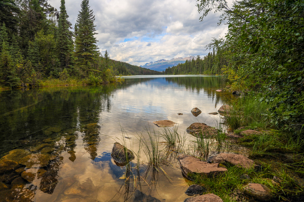 Morning Glass by Seth Felstead