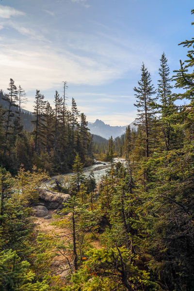 Out and About by Seth Felstead