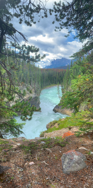Up Stream by Seth Felstead