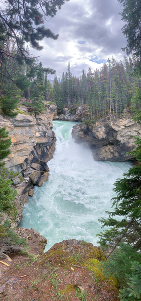 Sunwapta Falls Print
