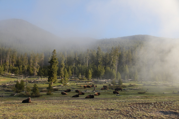 Easy Morning by Seth Felstead