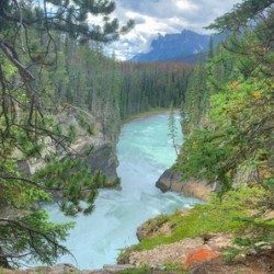 Up Stream