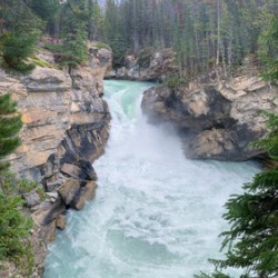 Sunwapta Falls