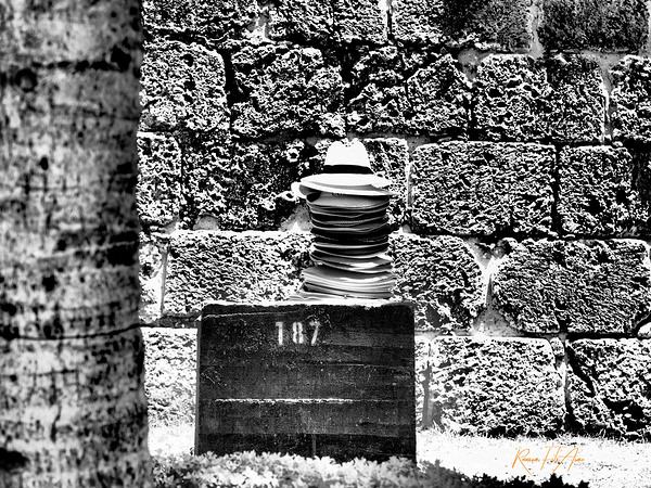 Columbian Hats Print