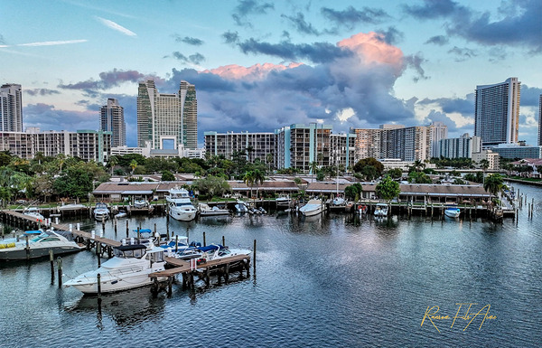 The Diplomat 10 Print