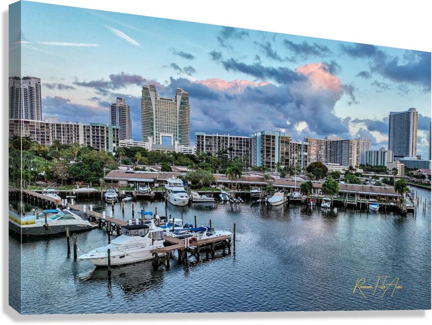 The Diplomat 10 Canvas Print