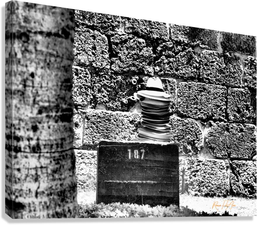 Columbian Hats Canvas Print