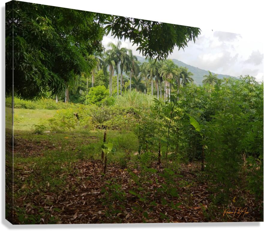 Nature   Canvas Print