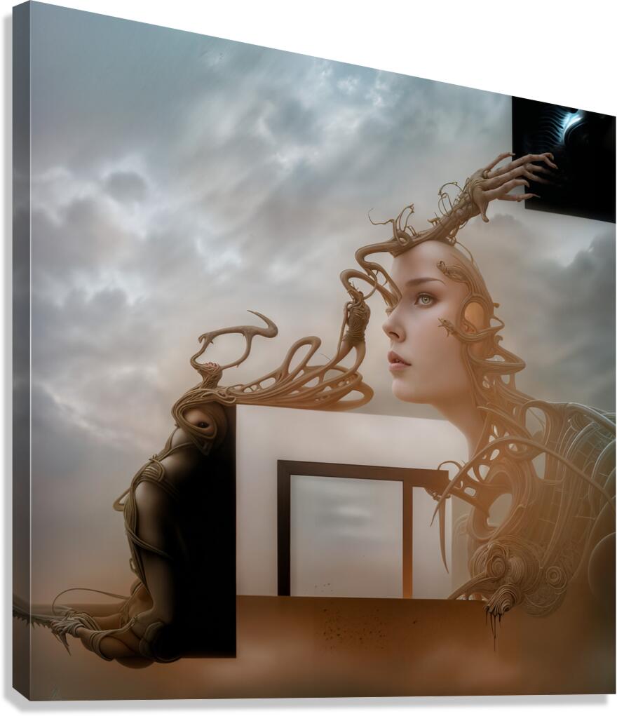  Vivid Visions  Canvas Print