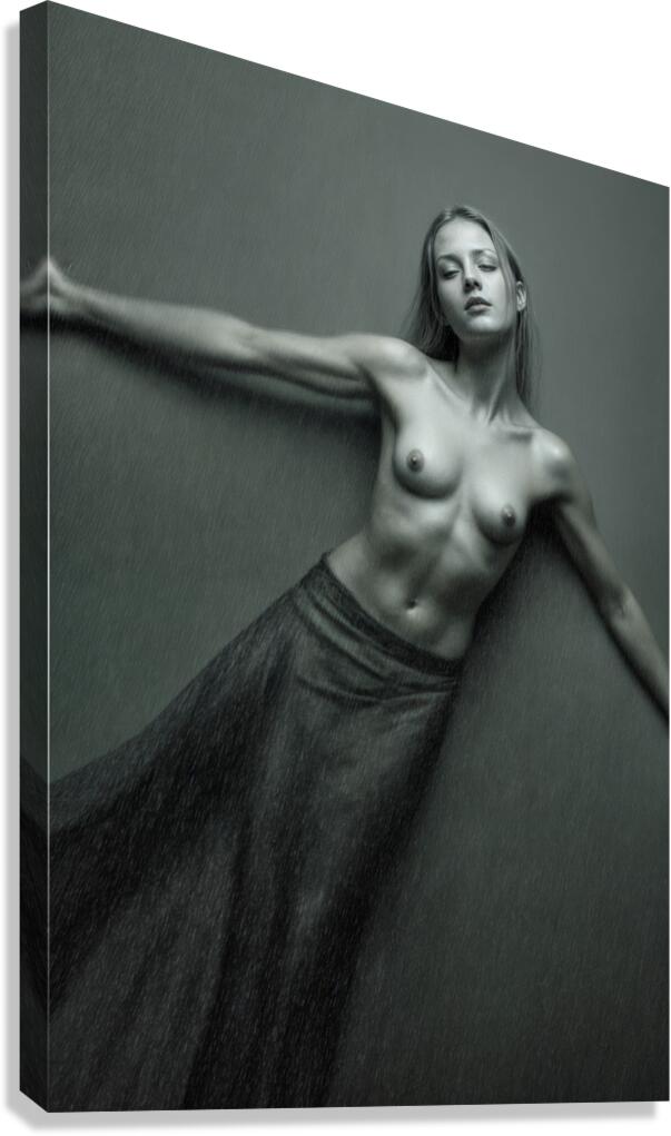 Cool Toned  Canvas Print