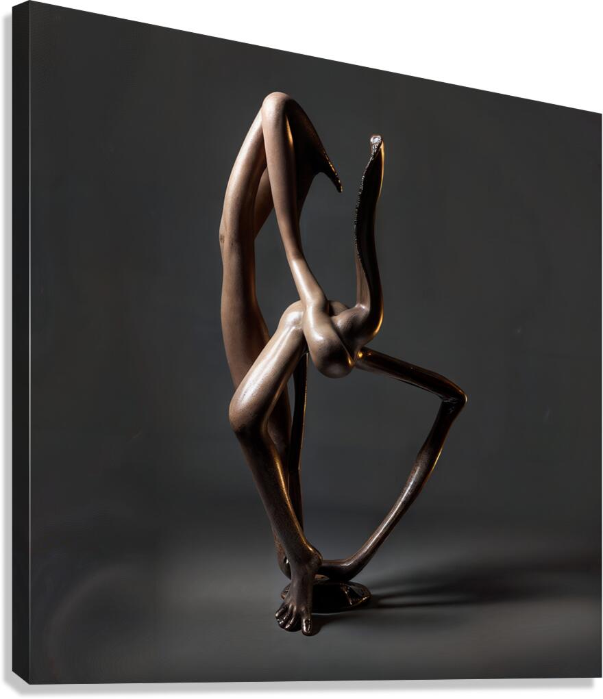 Intertwining Forms  Canvas Print