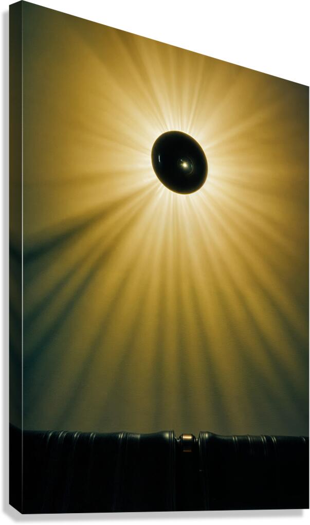 Dramatic Effect  Canvas Print
