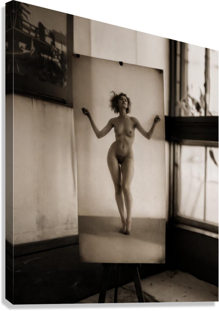  Moderate Angle Canvas Print