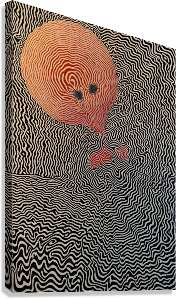 Perception and Illusion  Canvas Print