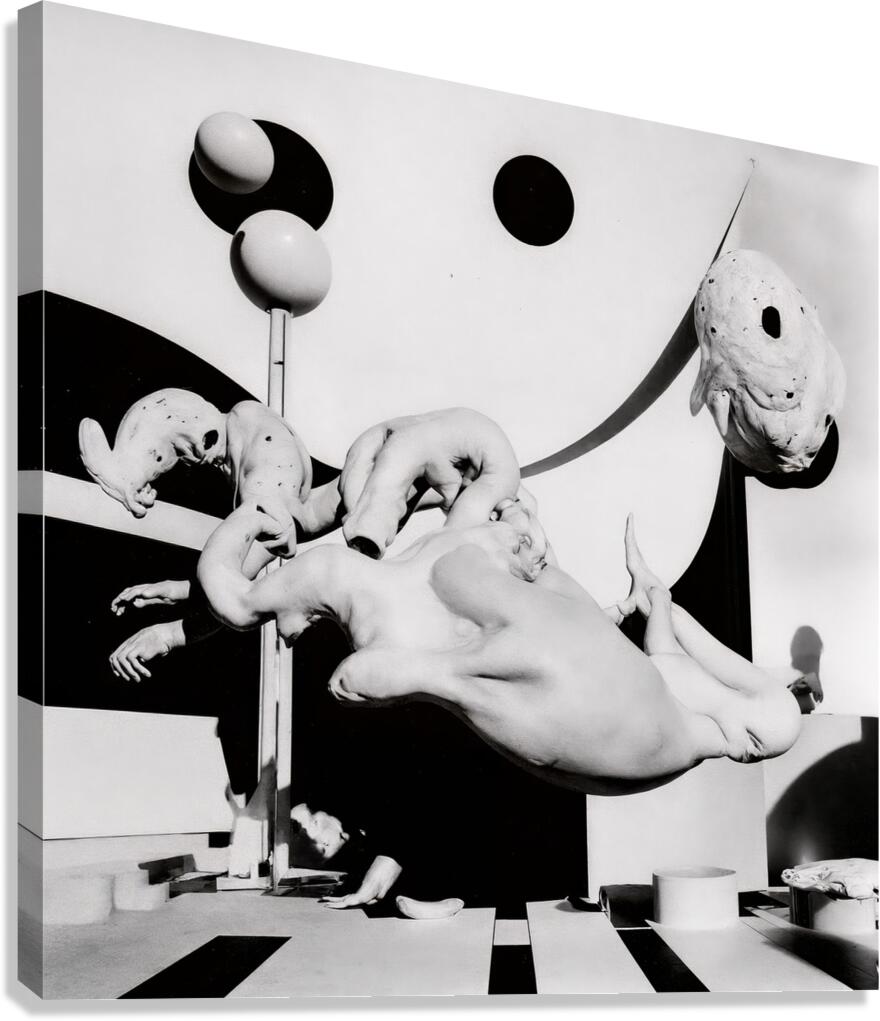 Shape and Shadow  Canvas Print