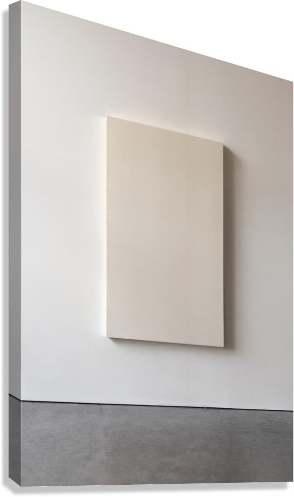 Diffused and Patient  Canvas Print