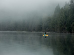 Fishing in the Fog