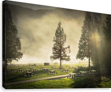Summers Graveyard Canvas Print