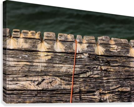 Old Fish Line Canvas Print
