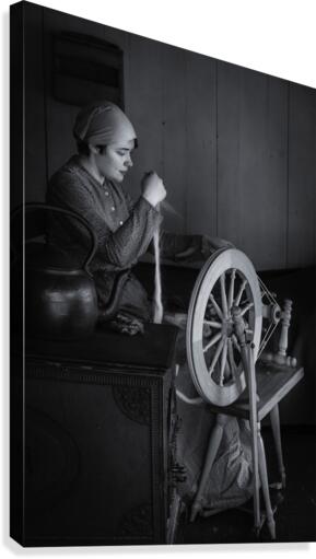 Spinning Wool Canvas Print